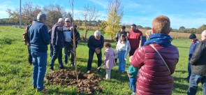 20251111_112118.jpg 20251111_112118.jpg