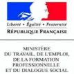 ministère-de-l-emploi-et-du-travail-squarelogo-1443610660084.png